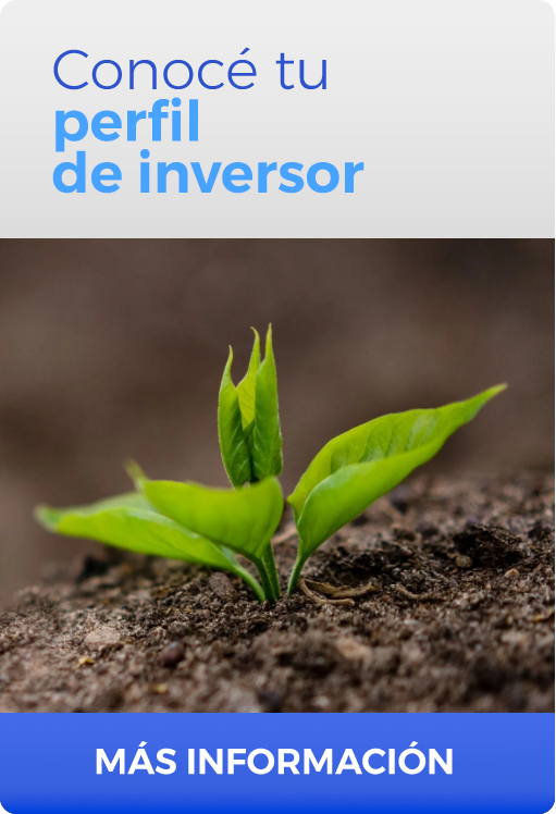 Perfil de inversor